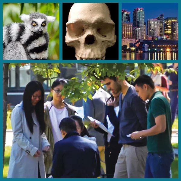 collage of a lemur, a skull, a city skyline at night, and a group of students talking outside on the UTM campus