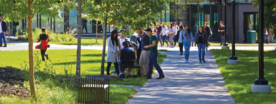 students on campus on a summer day