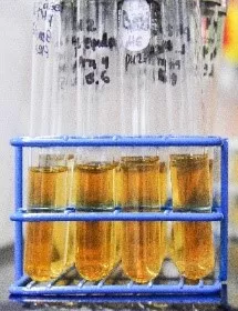 A chemistry image showing samples after 2 hour incubation at 50°C 