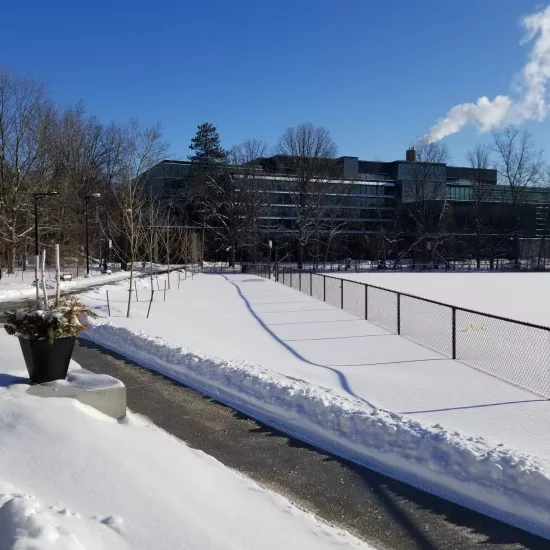 snow cleared walk ways towards MN building