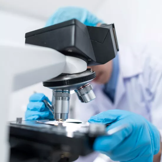 Researcher looks at sample under microscope