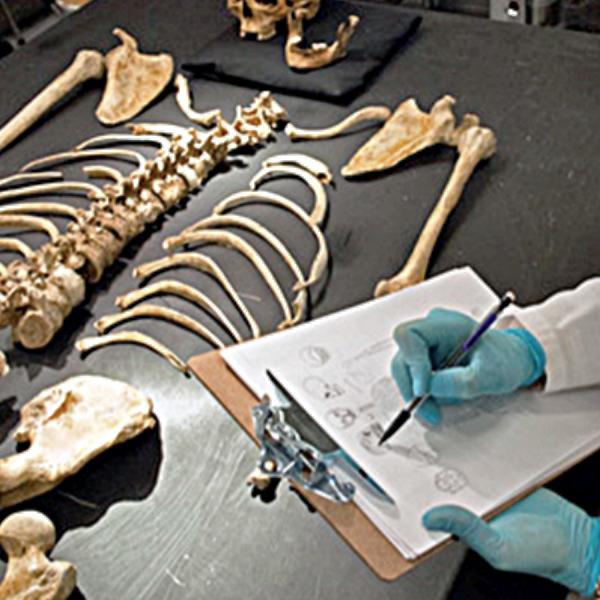 forensic anthropology phd usa