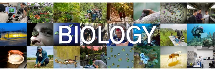 biology banner with various biology photos