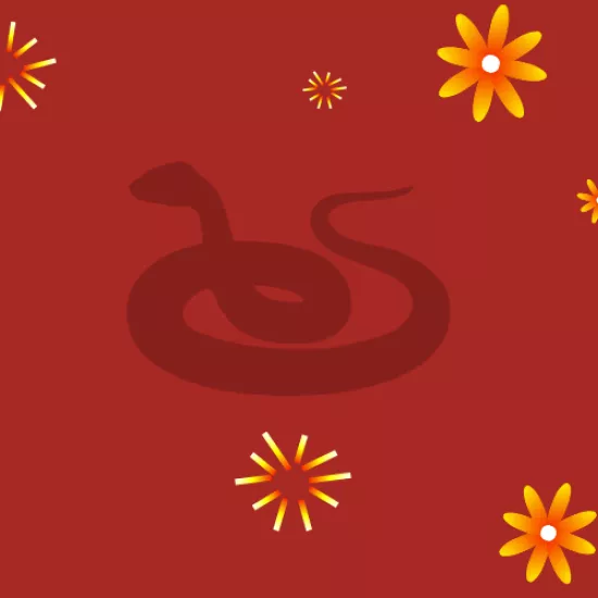 Banner with snake, lantern, flower, and firework imagery