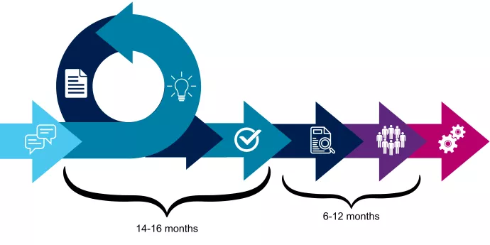 New Program Process Graphic