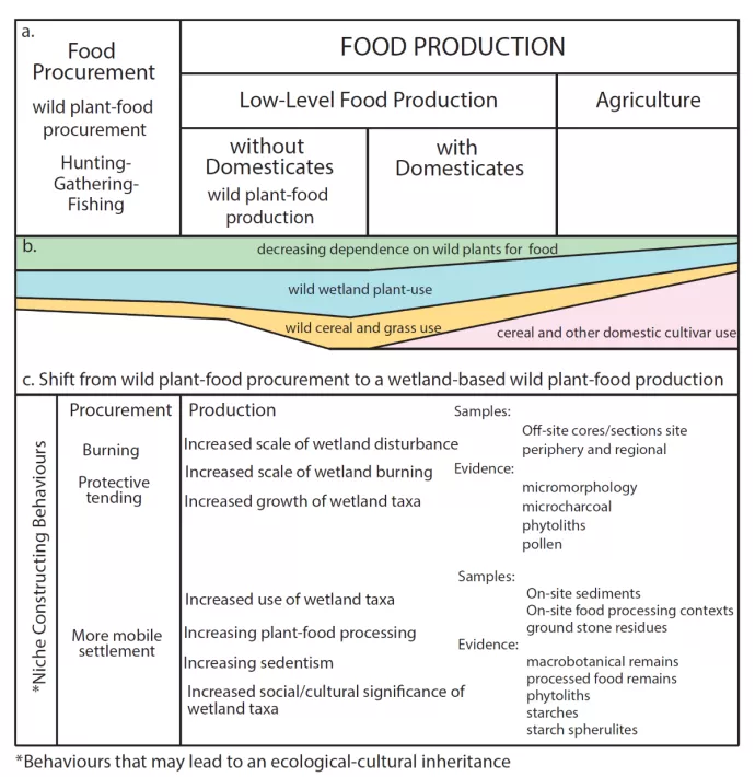 diagram of food production