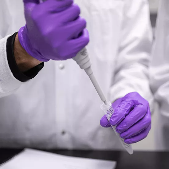 gloved hands conducting a lab experiment