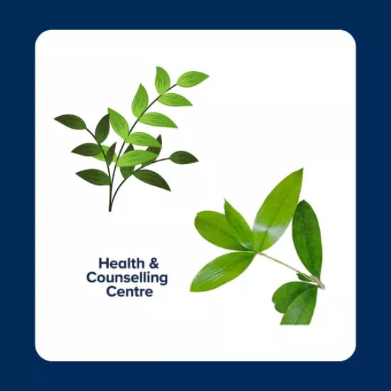 Health And Counselling Center Website