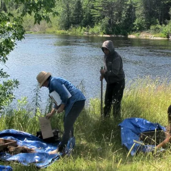 a group of people working outside on a sunny summer day by a lake