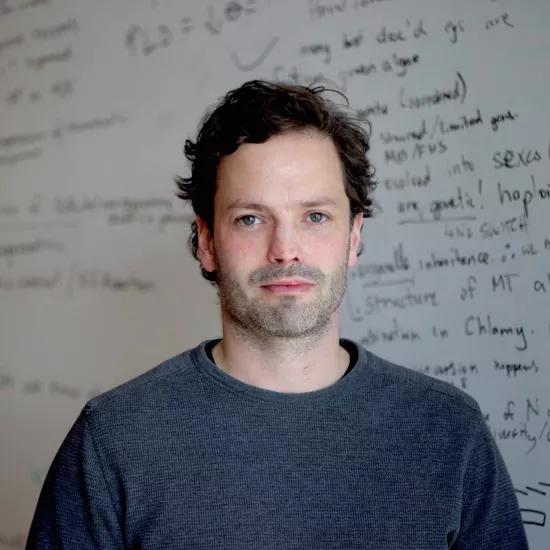 Rob Ness smirking in front of a background that has a classroom whiteboard with black writing on it. He is wearing a dark grey crewneck shirt and has short dark brown hair and a light shadow beard.