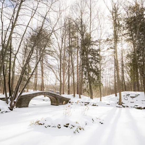 bridge at UTM in winter