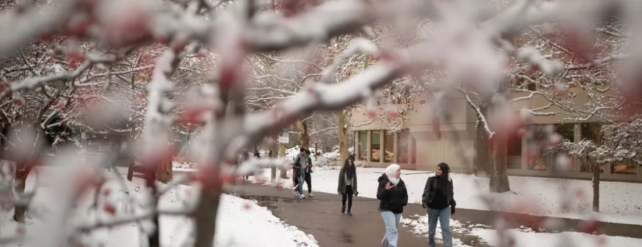 students walk along a UTM path in winter