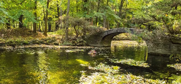 Watkins pond in the spring season