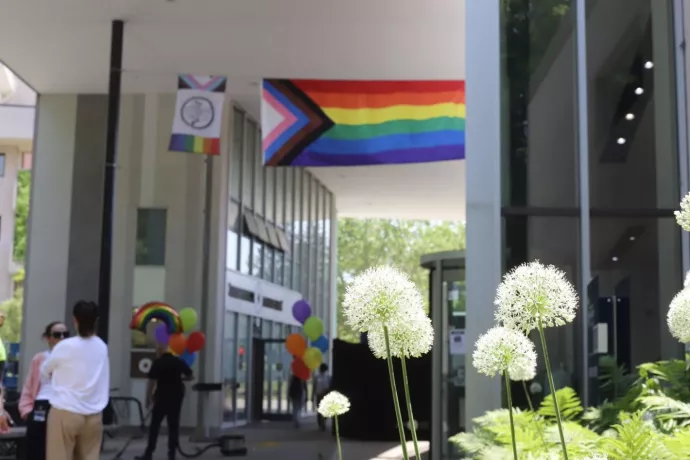 Pride flags seen in the distance with flowers in the foreground