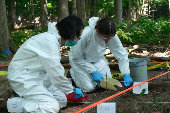 Forensic Field School participants wearing white suits dig through evidence