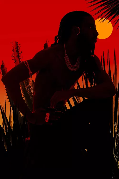 Silhouette of person near palm fronds with a yellow sun in the background against a red backdrop