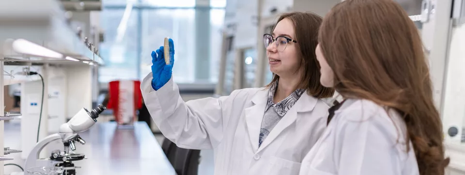 Two students examine a test tube in a lab