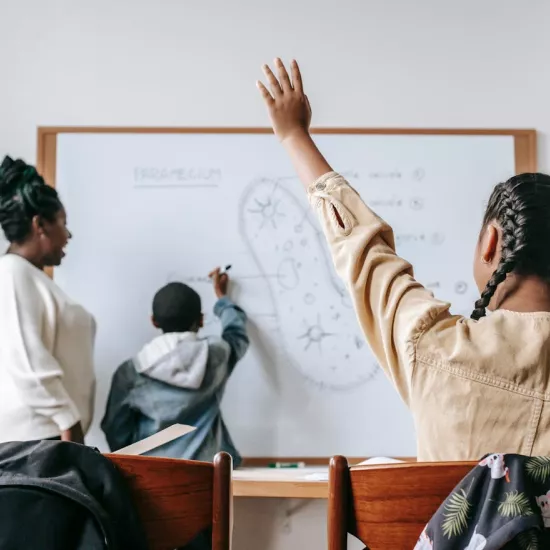 Child raises hand as another works on whiteboard with teacher looking on