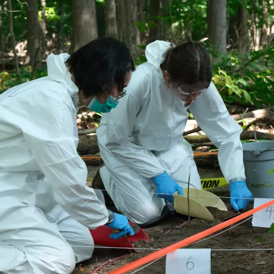 Forensic Field School participants wearing white suits dig through evidence