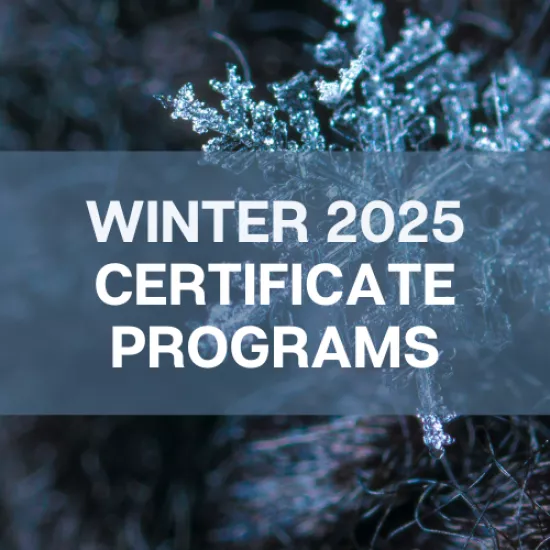 Winter Certificate Programs